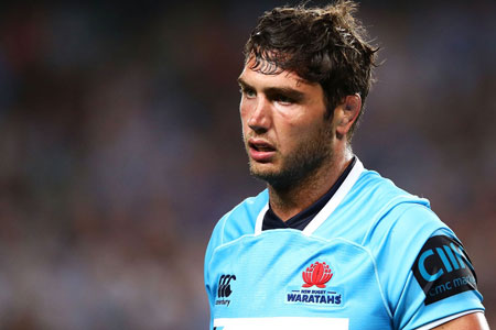 Rob Simmons renovó por dos años con Waratahs