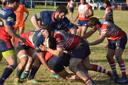 Daom, “haciendo lo que hay que hacer”