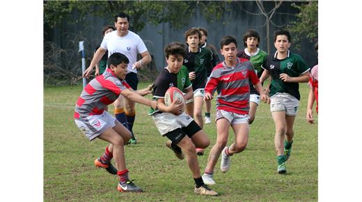 Unión de Rugby de Tucumán: Los infantiles salen a la cancha con el 1° encuentro virtual