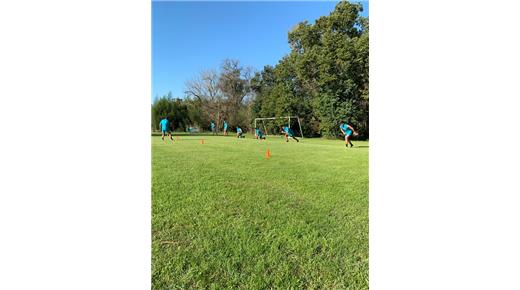 Los Pumas cumplieron una semana de entrenamientos