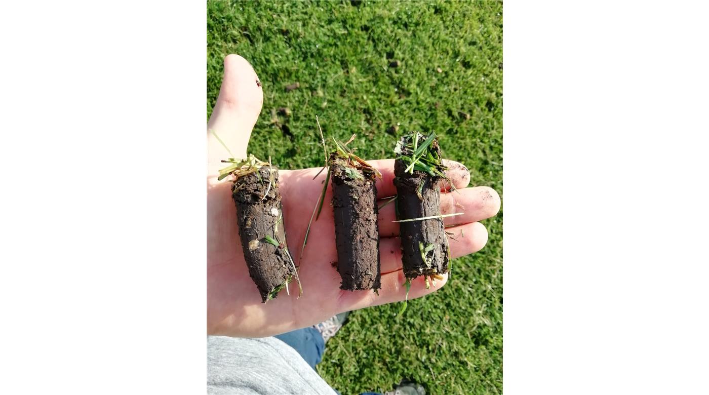  En Los Matreros no se tomaron vacaciones