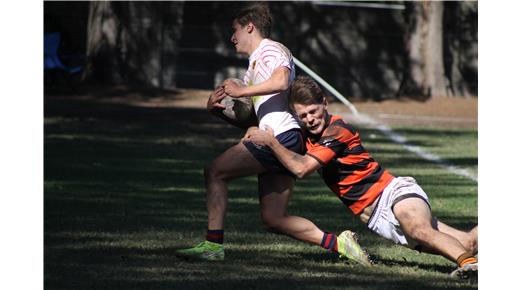 LAS IMÁGENES DE LA VICTORIA DE CURUPAYTÍ ANTE OLIVOS