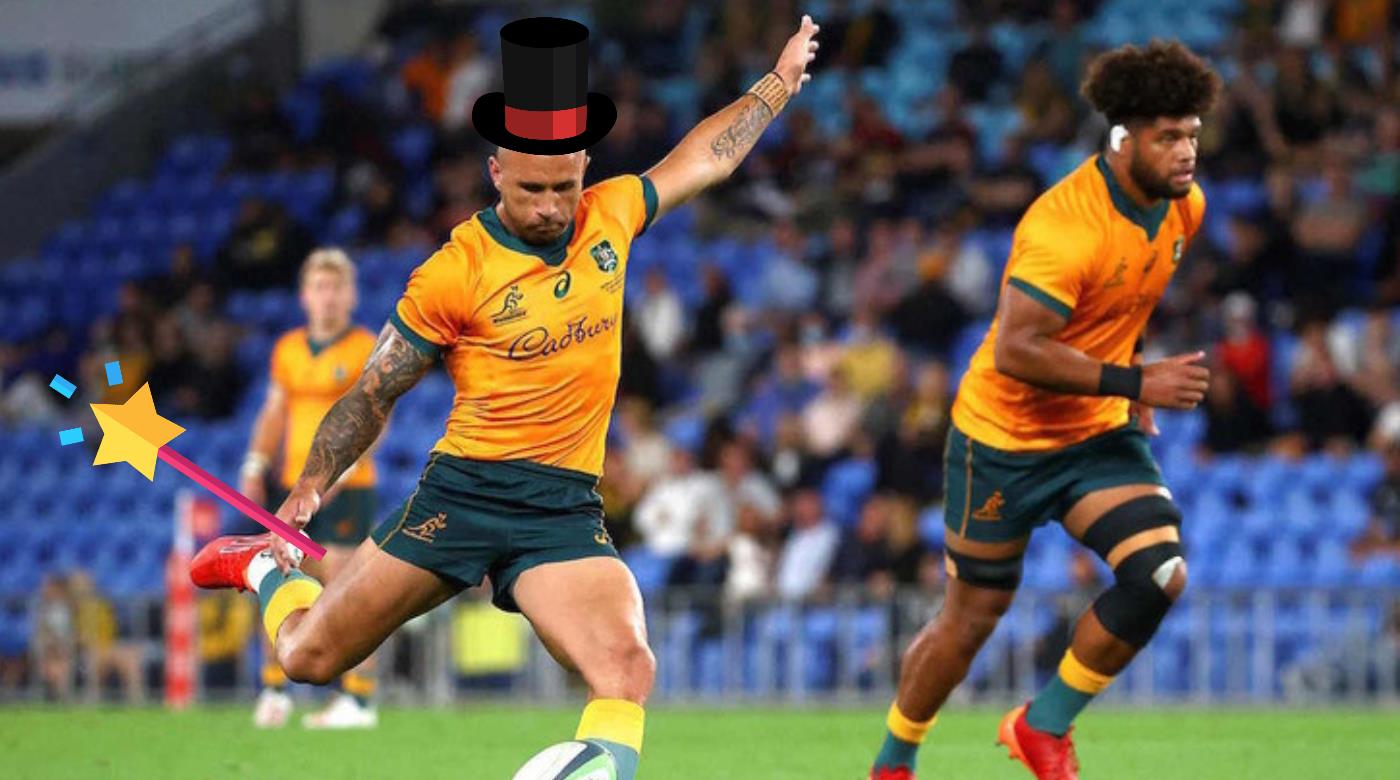 LA MAGIA DE LOS WALLABIES