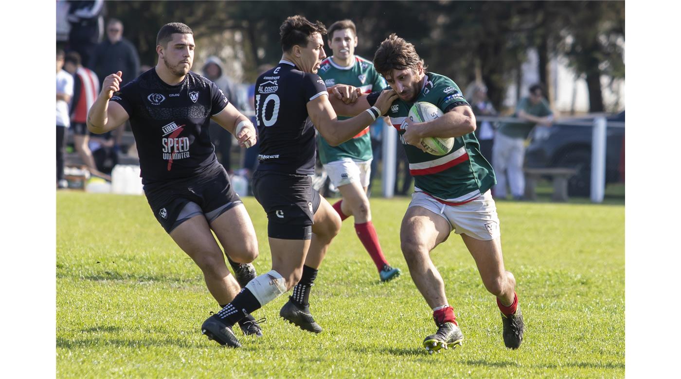 ÁLBUM DE FOTOS: U. DE LA PLATA 31-7 SITAS