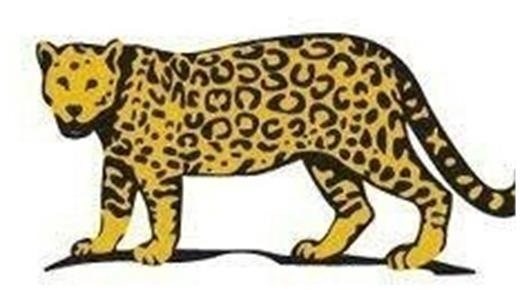 ¡FIRMÁ PARA QUE VUELVA EL YAGUARETÉ A LA CAMISETA DE LOS PUMAS!
