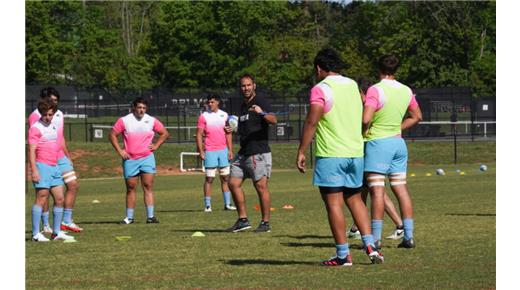 LOS PUMITAS Y EL FIXTURE PARA EL MUNDIAL DE SUDÁFRICA
