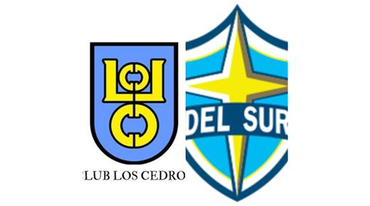 DEL SUR GANÓ COMO VISITANTE Y SIGUE COMO ESCOLTA