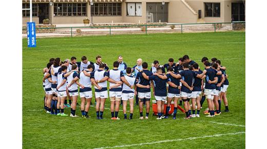 Cuáles son las chances de Los Pumas para el Rugby Championship 