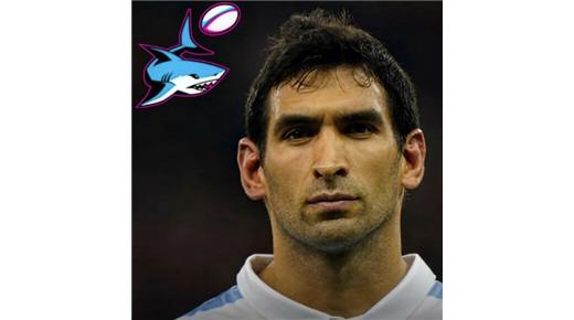UN NUEVO REFUERZO ARGENTINO PARA MIAMI SHARKS, LLEGÓ MATÍAS "TOSTAO" ORLANDO