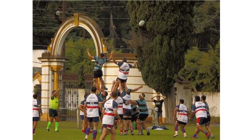 TIGRE SIGUE PRIMERO Y POR LA SENDA DEL TRIUNFO