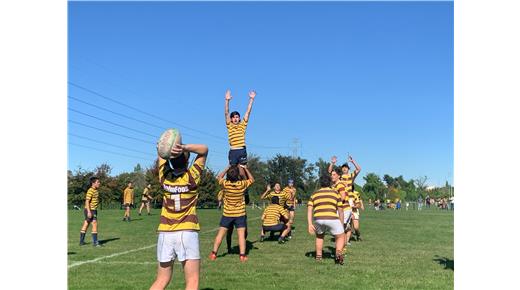 JUVENILES M15: BELGRANO ATHLETIC SUPERÓ A REGATAS EN BELLA VISTA