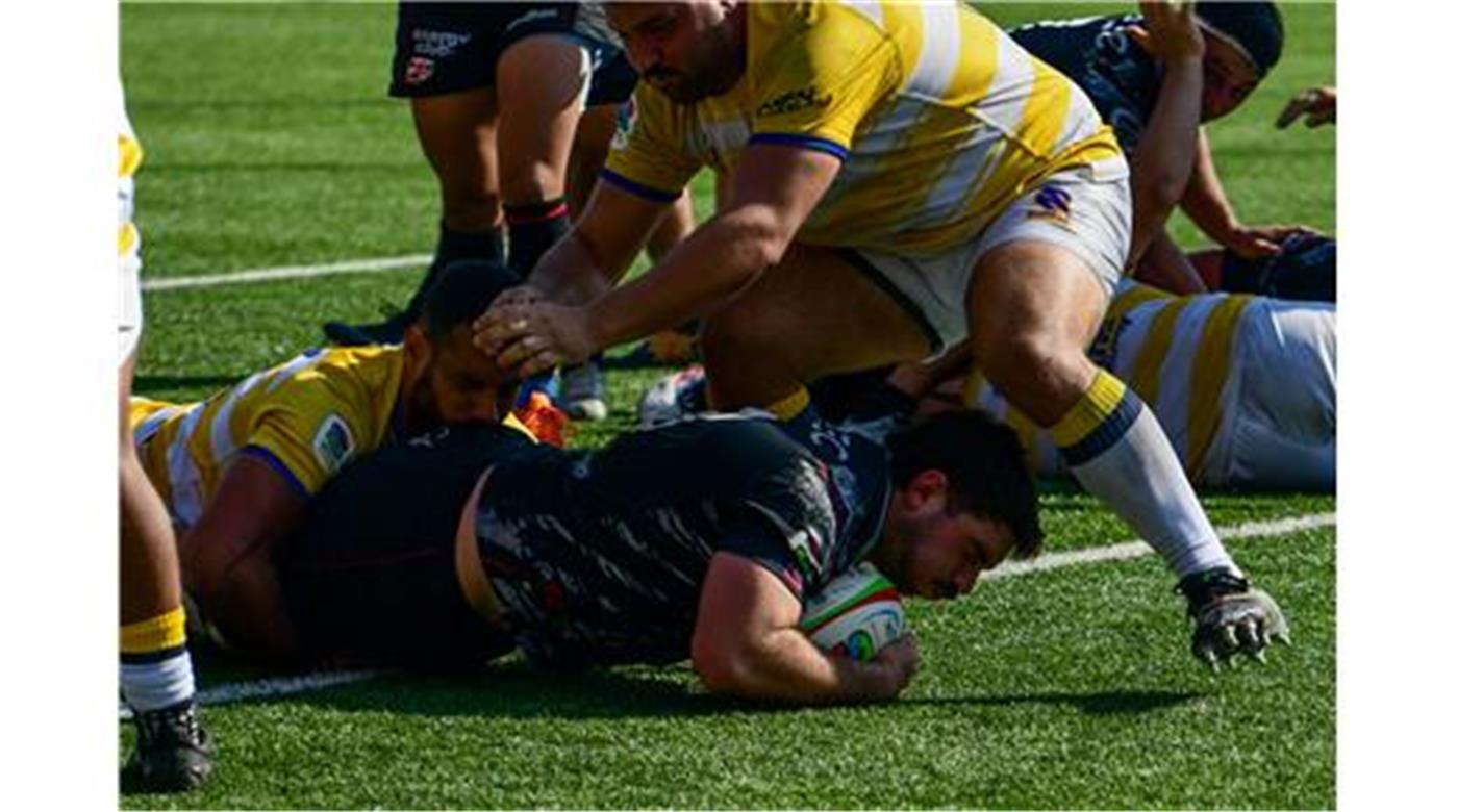 LAS FORMACIONES DE DOGOS XV Y SELKNAM