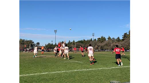 M17: NEWMAN SUPERÓ A PUCARÁ EN EL DUELO DE LÍDERES Y TERMINÓ EN LA PRIMERA POSICIÓN