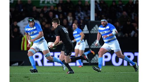 LOS PUMAS Y SUS PARTIDOS EN EL ESTADIO JOSÉ AMALFITANI DE LINIERS 