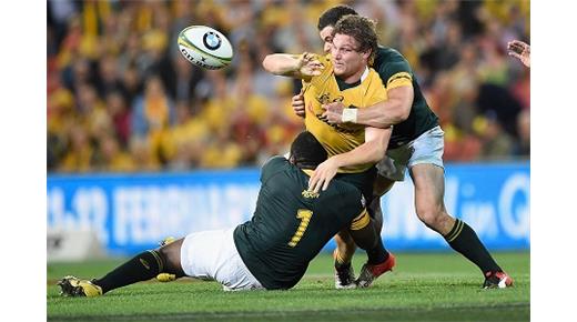 SUDÁFRICA Y AUSTRALIA ABREN LA SEGUNDA FECHA DEL RUGBY CHAMPIONSHIP