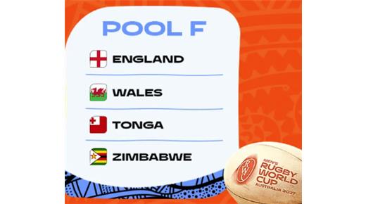 EL ANÁLISIS DEL GRUPO "F" DEL MUNDIAL DE AUSTRALIA