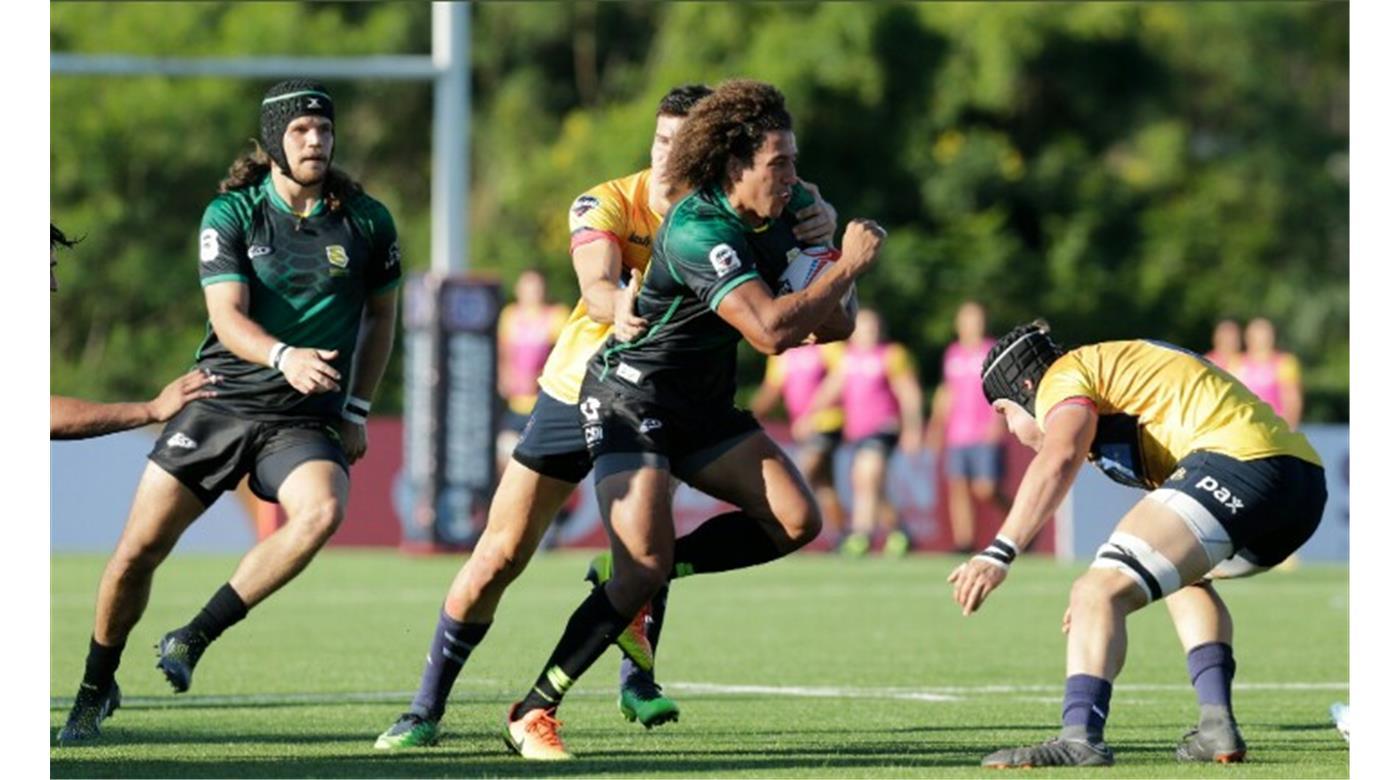CAFETEROS PRO QUIERE VOLVER AL TRIUNFO FRENTE A COBRAS BRASIL XV