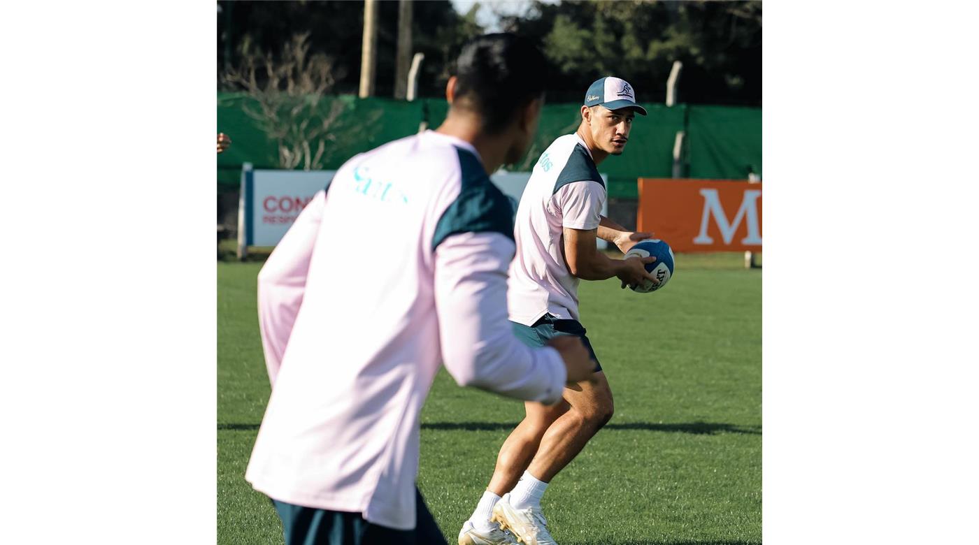 LA MAGIA DE LOS WALLABIES