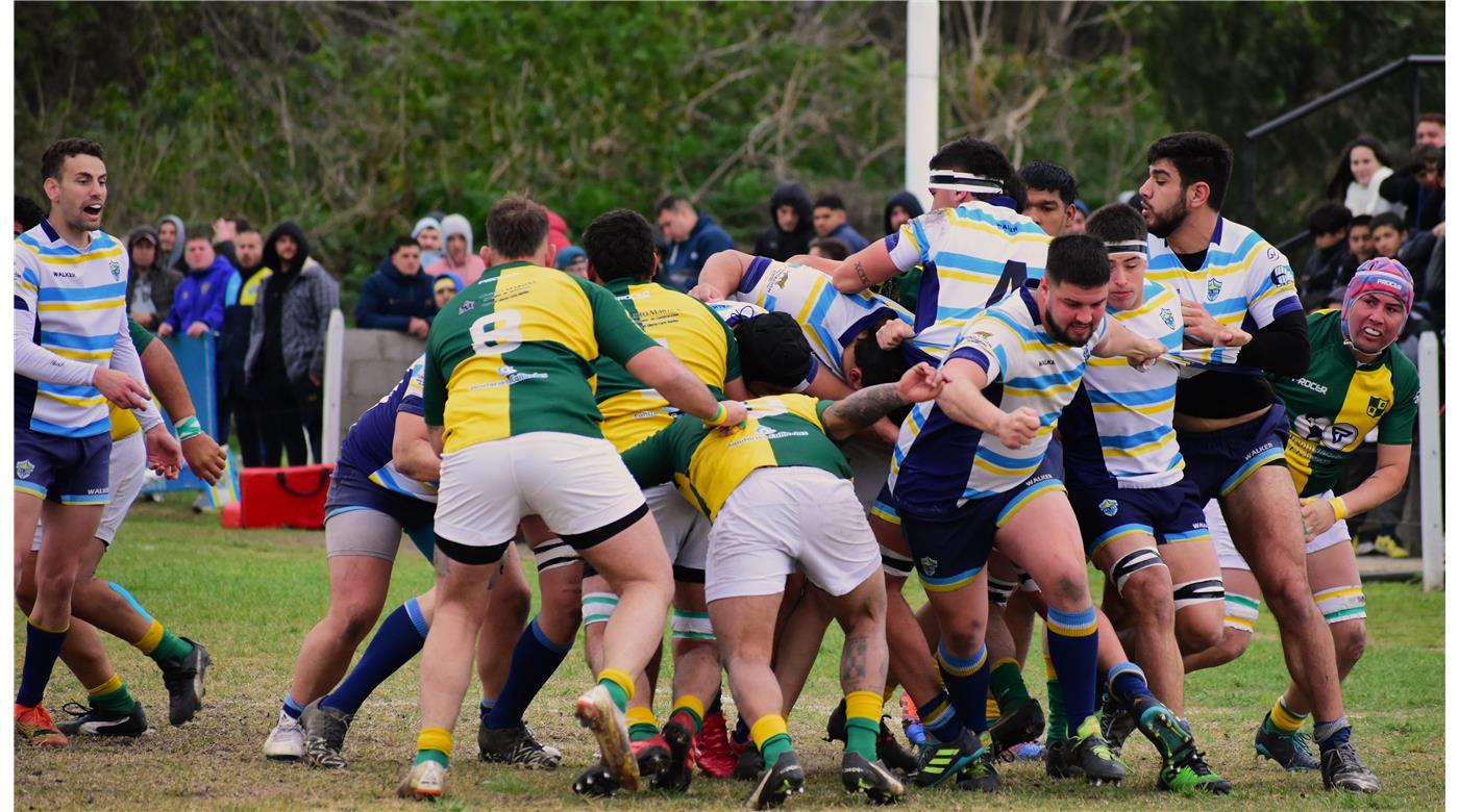 ÁLBUM DE FOTOS: DEL SUR 49-16 LAS CAÑAS