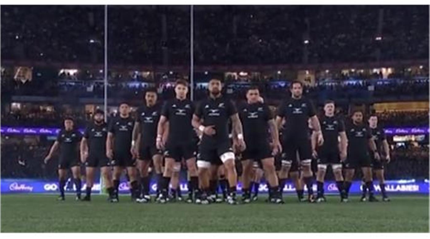 LOS MEJORES MOMENTOS ENTRE LOS PUMAS Y ALL BLACKS