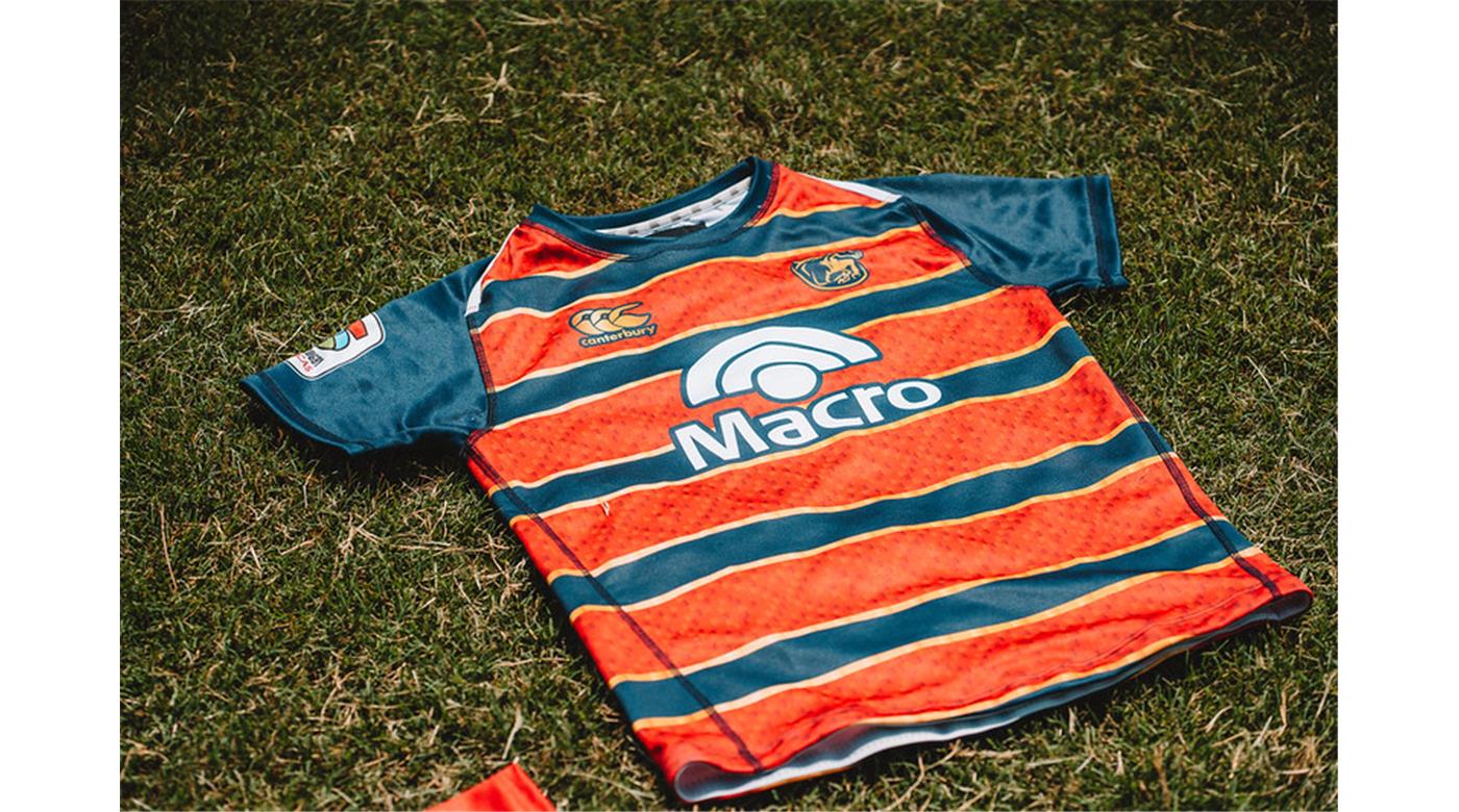 PAMPAS CON EL EQUIPO DEFINIDO PARA MEDIRSE EN EL CASI DESDE LAS 20HS ANTE COBRAS BRASIL XV